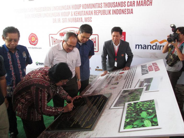 Dyandra dan Komunitas Mobil Kuno Sumbang Mangrove untuk Lingkungan yang lebih Hijau