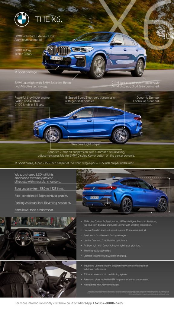 BMW X6 Infographics