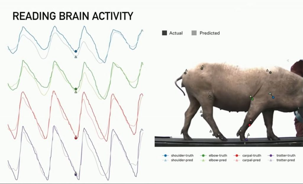 Neuralink 02