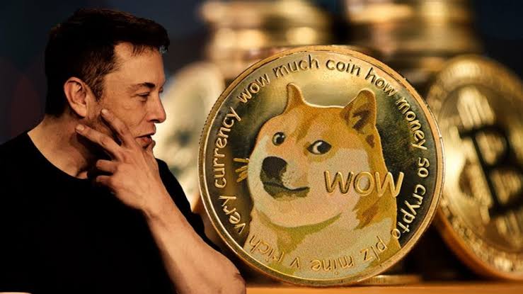 Kian Anjlok, Investor Dogecoin Gugat Elon Musk